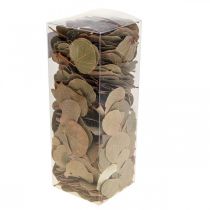 položky Sušené listy, dekorativní Moneta, aranžmá ze sušených květin, přírodní, 200g