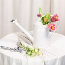 položky Konev na zalévání s odnímatelnou růžovou hlavicí. Ideální pro pokojové rostliny a balkony. 32 cm.