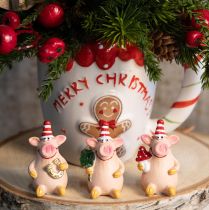 položky Dekorace Lucky Pig Prasátko s amulety pro štěstí 5cm 6 ks