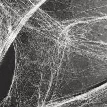 položky Halloweenská dekorace pavučina 70×100cm 150g