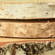 položky Dřevěné kotouče březové dřevo s kůrou kotouče Ø20-22cm 3 kusy