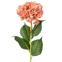 položky Hortenzie růžová 80 cm 1 ks