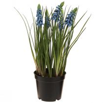 položky Umělé hyacinty v modrém květináči 24cm