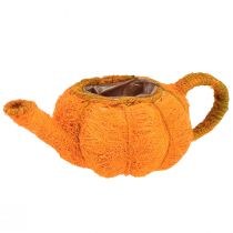 položky Květináč na výsadbu dýňové dekorace oranžová/žlutozelená Ø13cm
