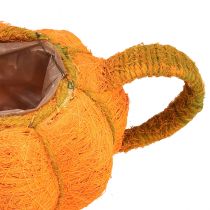 položky Květináč na výsadbu dýňové dekorace oranžová/žlutozelená Ø13cm