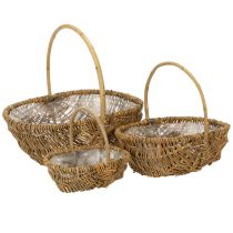 položky Bramborový košík 43/33/23cm s alobalem, přírodní, sada 3 kusů.
