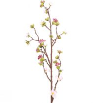 Větev třešňového květu růžová 95cm