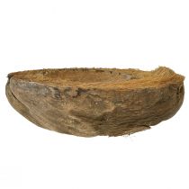 položky Květináč na kokosové palmy, přírodní, 20 cm, 5 kusů