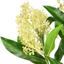 položky Umělé květiny krém Skimmia japonica Skimmie 45cm 2ks