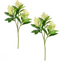 položky Umělé květiny krém Skimmia japonica Skimmie 45cm 2ks