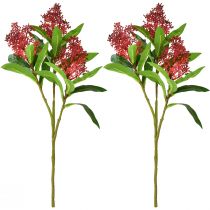 položky Umělé květiny Skimmia japonica červená Skimmia 45cm 2ks