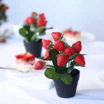položky Umělá jahodová rostlina v květináči, umělá rostlina 19 cm
