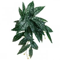 Umělá begonie Umělá rostlina zelená, tmavě zelená 42×28cm