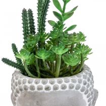 Umělý sukulentní květináč Buddha Ø12cm V24cm