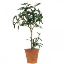 Umělý olivovník v květináči Umělá rostlina Oliva V63,5cm