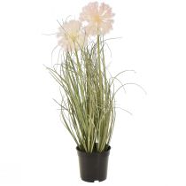 položky Umělé květiny dekorativní koule květina allium okrasná cibule umělá 54cm