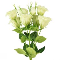 položky Umělé květiny Eustoma Lisianthus žlutozelená 52cm 5 ks