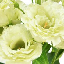 položky Umělé květiny Eustoma Lisianthus žlutozelená 52cm 5 ks