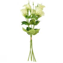 položky Umělé květiny Eustoma Lisianthus žlutozelená 52cm 5 ks