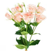 položky Umělé květiny Eustoma Lisianthus růžová 52cm 5ks