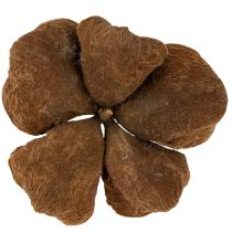 položky Landlotus Nature 50 ks