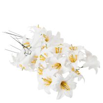 položky Lilie na drátu, střední, 25 kusů