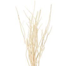 položky Mitsumata větve bílé 34-60cm 12 ks