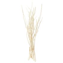 položky Mitsumata větve bílé 34-60cm 12 ks