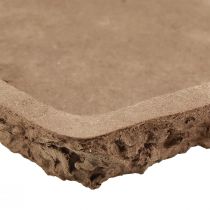 položky Oasis Biolit podložka pod květinové pěnové cihly 25×14×2cm 11 ks