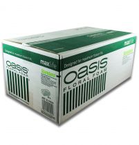 OASIS® zásuvný mech maxlife standard 20 cihel