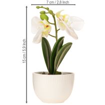 položky Mini orchidej umělé bílé orchideje v květináči 15cm