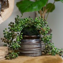 položky Šňůrka z umělých perel v mechové kouli ze zelené rostliny 38cm