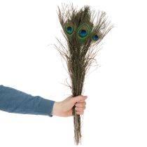 položky Paví pera, pravá ptačí pera k tvoření a zdobení, 55 cm, 10 kusů