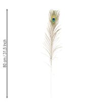 položky Dekorace z pavích per, pravá ptačí pera, dlouhá 75-85 cm, 8 kusů