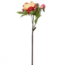 položky Pivoňky Hedvábné květy Umělé květy Růžově žluté 68cm