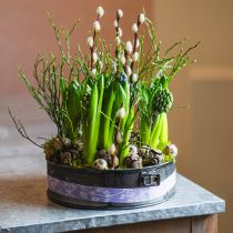 položky Květináč, ozdobný pekáč, pérová forma na sázení, kovová dekorace Ø24cm V7,5cm