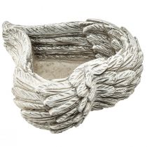 položky Rostlinná srdce peříčka litý kámen srdce šedá bílá 13×12×6cm 2ks