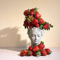 položky Poprsí hlavy rostliny šedomodré Ø8cm V15cm