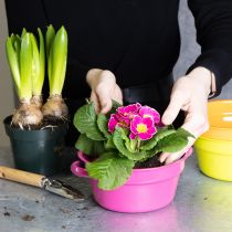 položky Kovový květináč, originální design pro sofistikované obytné prostory a stylovou dekoraci, 17 cm, 3 kusy