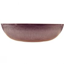 položky Elegantní fialová plastová miska 37x10,5 cm - univerzální na dekoraci - 3 kusy