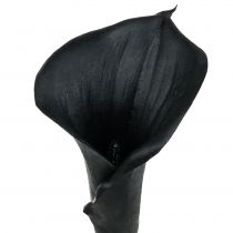 položky Deco Calla Black 75cm