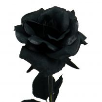 Hedvábný květ růže černá 63cm