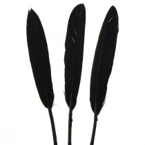 položky Černé peří Dekorativní Husí peří Černé 11-14cm 180 ks