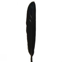 položky Černé peří Dekorativní Husí peří Černé 11-14cm 180 ks