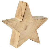 položky Rustikální dekorativní hvězda ze dřeva paulovnie - přírodní provedení, Ø 15 cm, tloušťka 6 cm - univerzální dřevěná dekorace - 2 kusy