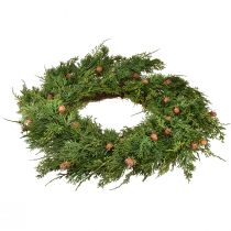 položky Jedlový věnec Thuja s poupaty základní vinný věnec Ø50cm