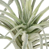 položky Tillandsia sukulentní umělé zelené rostliny 13cm