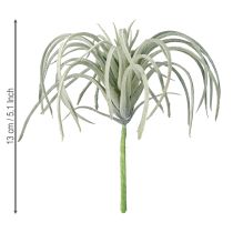položky Tillandsia sukulentní umělé zelené rostliny 13cm