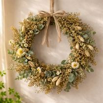 položky Sušené květiny Broom Bloom olivově zelené 160g 48cm