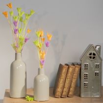 položky Kytice sušených květů Nigella, dekorativní použití v obývacím pokoji, vytváří jedinečnou atmosféru, 70 cm, 50 g